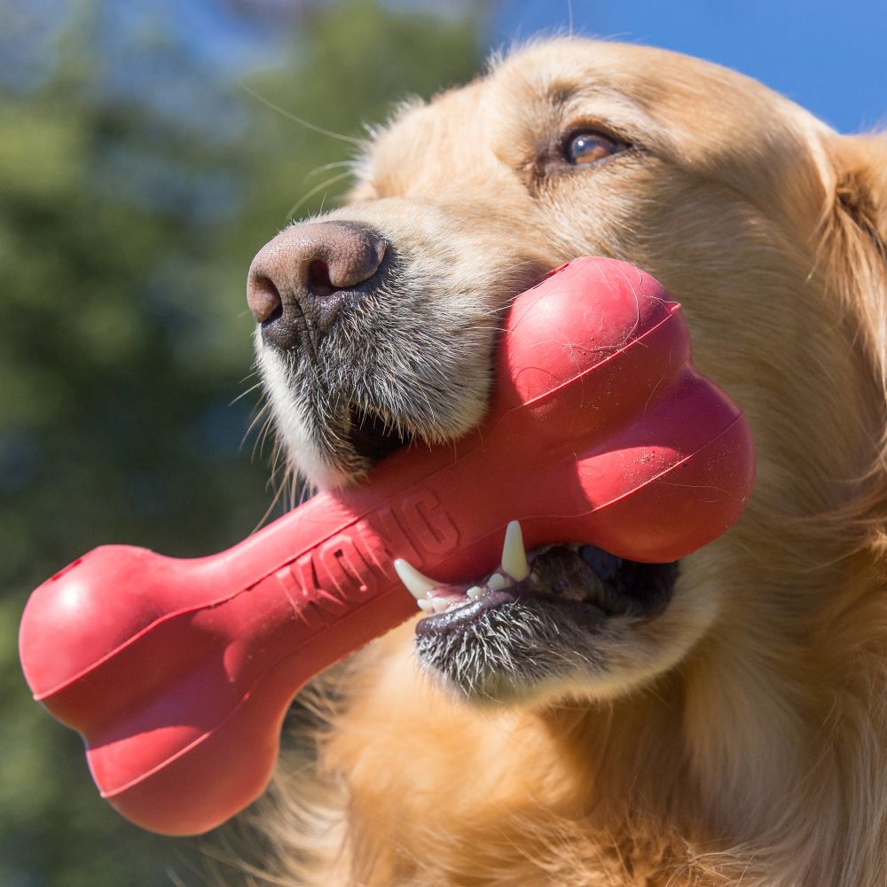 S-size Kong Classic Goodie Bone Dog Toy - Dog Toys