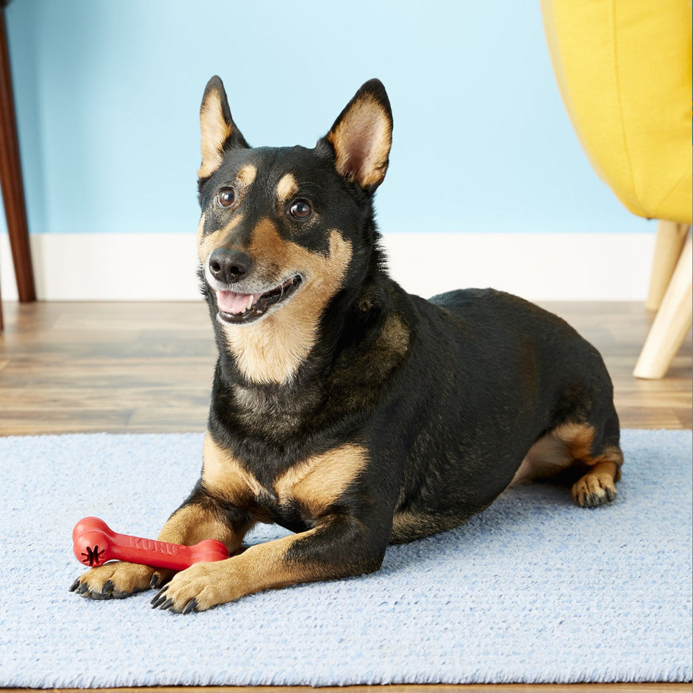 S-size Kong Classic Goodie Bone Dog Toy - Dog Toys