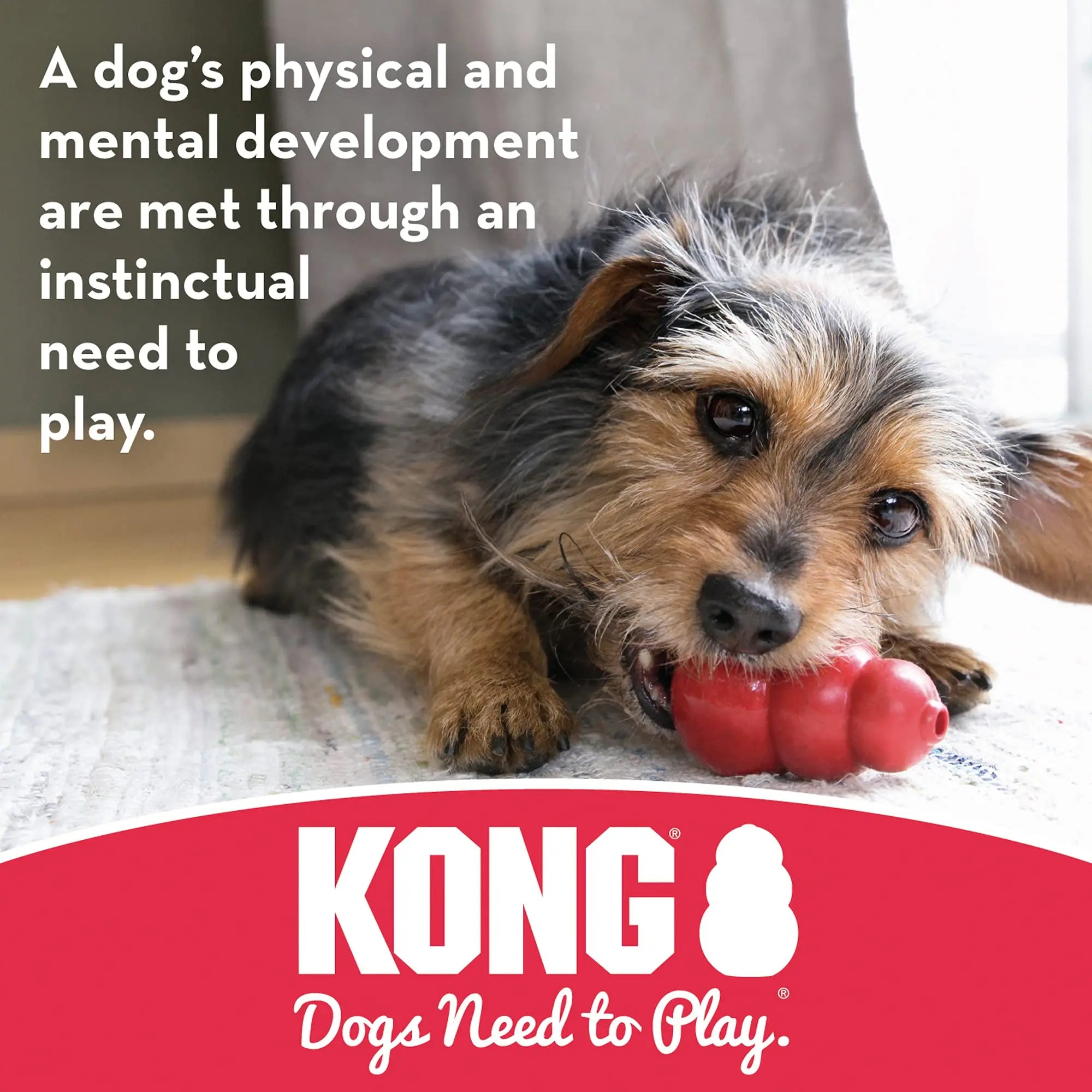 KONG - Tires - Giocattolo in gomma resistente e dispenser di snack per cani forti.